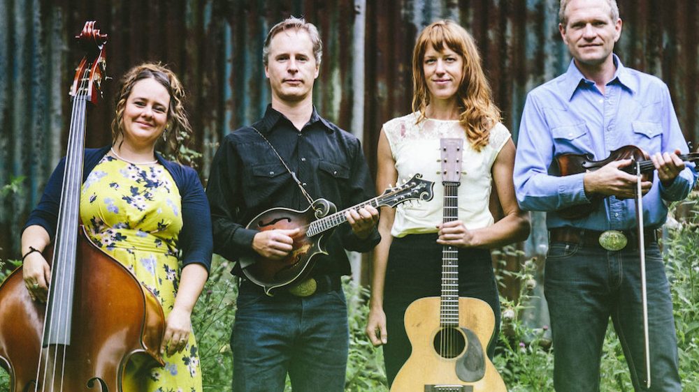 Dorrigo Folk and Bluegrass Festival