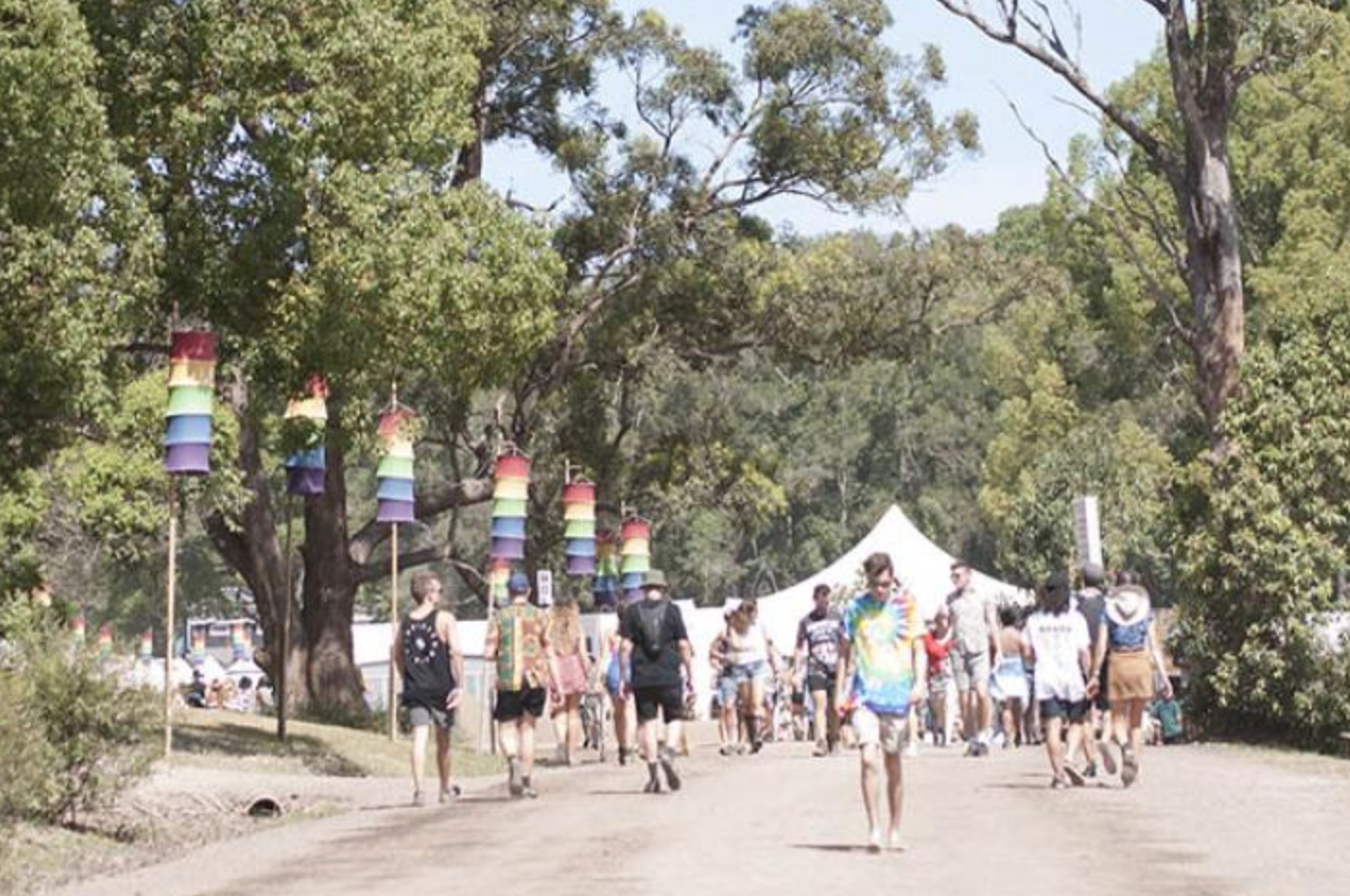The Falls Music & Art Festival