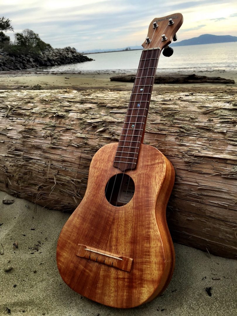 Elton Inspired Ukulele Lessons @ Coffs Harbour