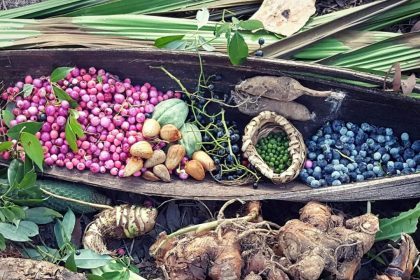 Edible Medicinal Wild Plants Workshop