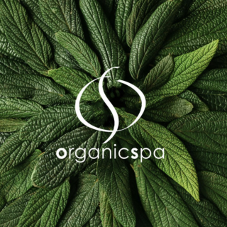 An Evening with Organic Spa