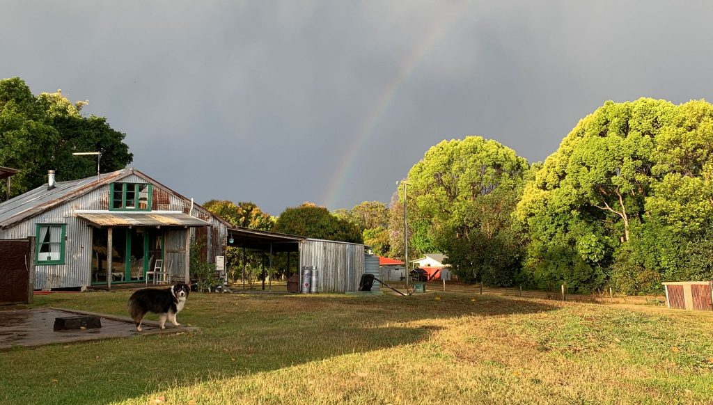 NSW North Coast Dog-friendly Airbnbs