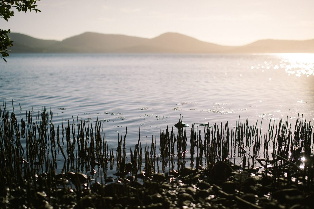 Wallis Lake, home to many fish species