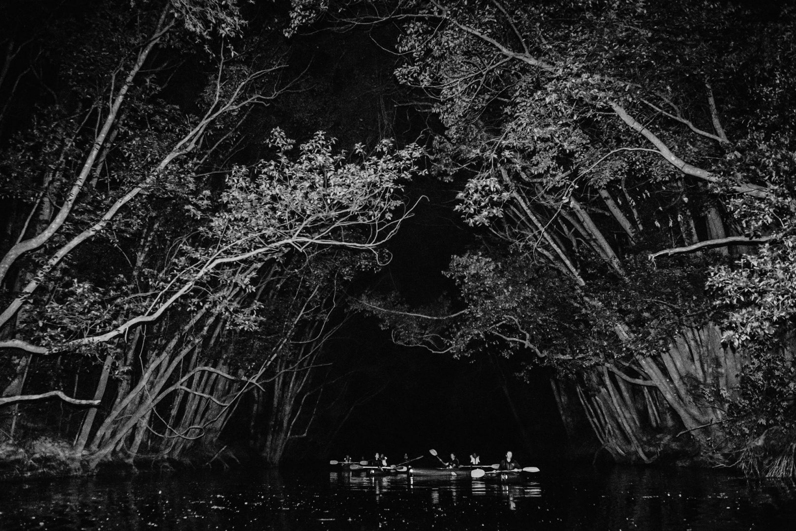 Paddling beneath a full moon on the Bellinger River