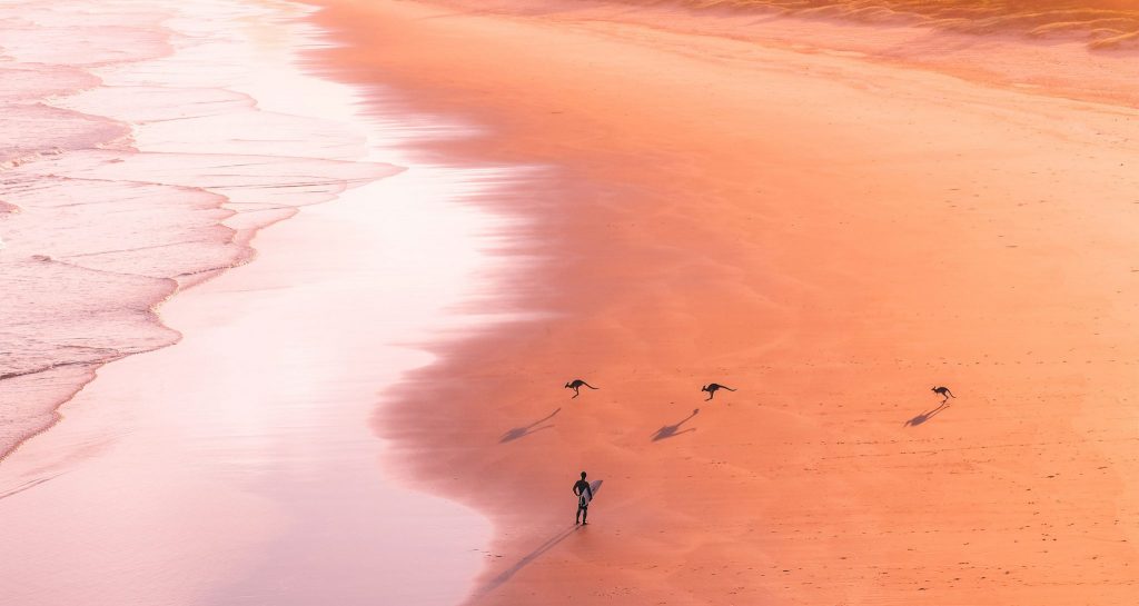 Coastal Drones – Capturing the coast from a new perspective