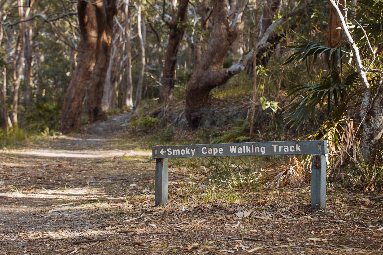The trail from Little Bay to Smoky Cape Lighthouse in Hat Head National Park