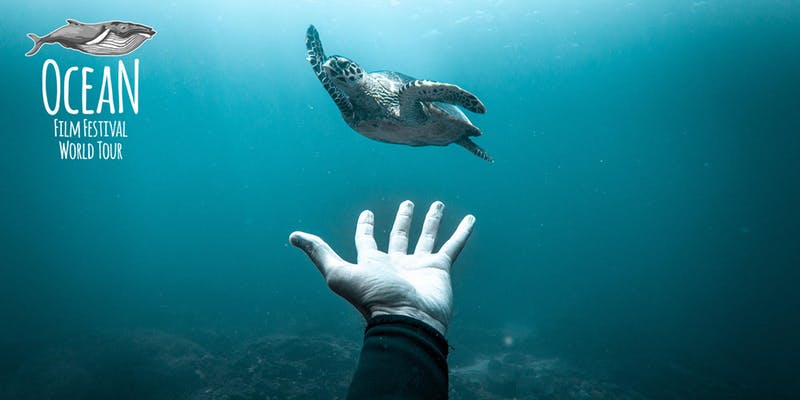Ocean Film Festival World Tour