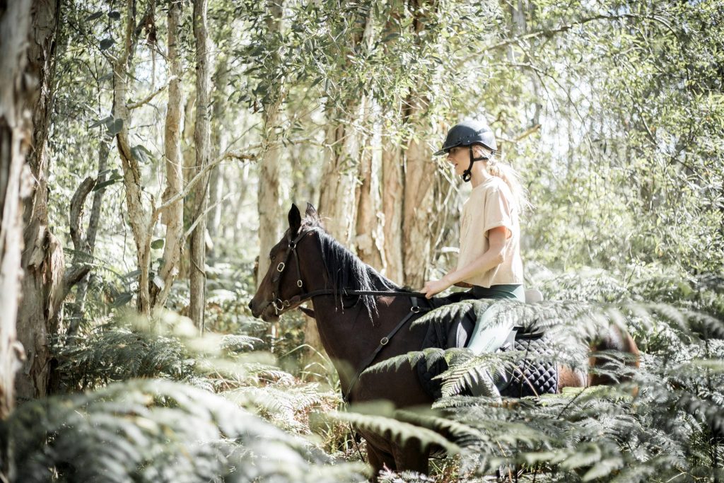 Discover Byron Bay’s beaches on horseback with Zephyr Horses