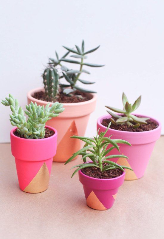 Geometric Pot Plant Workshop