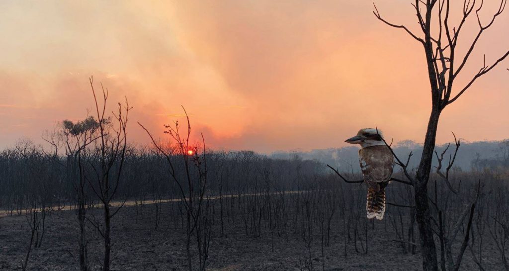 Meet a local – we chat to a dedicated RFS volunteer and business owner from Port Macquarie