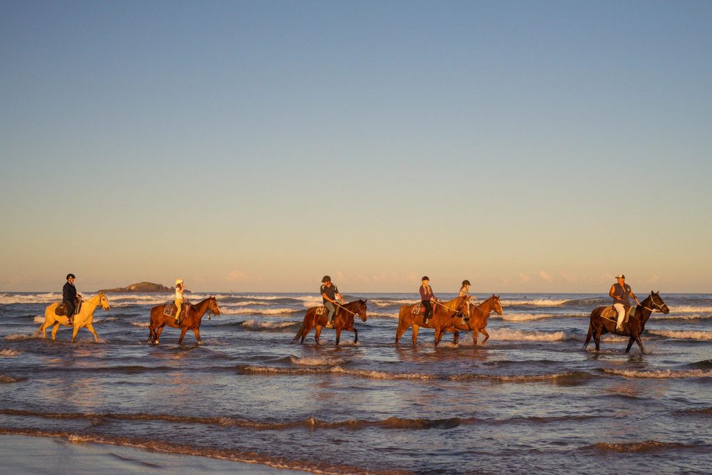 Horse riding experiences of the north coast