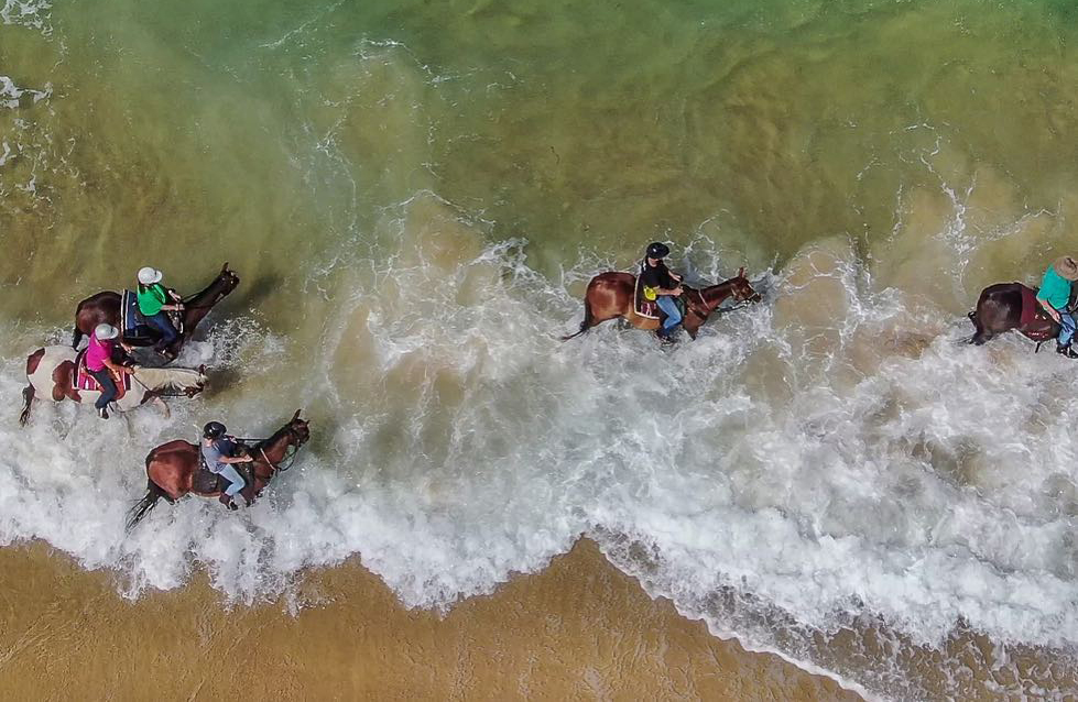 Horse riding experiences of the north coast