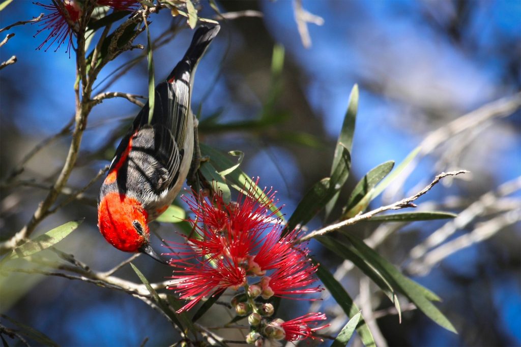 10 great gardening tips from landscape architect Jackie Amos