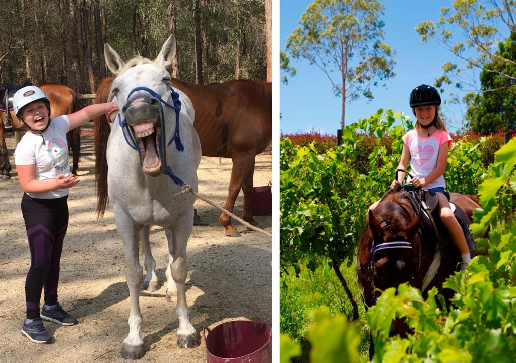 Horse riding experiences of the north coast