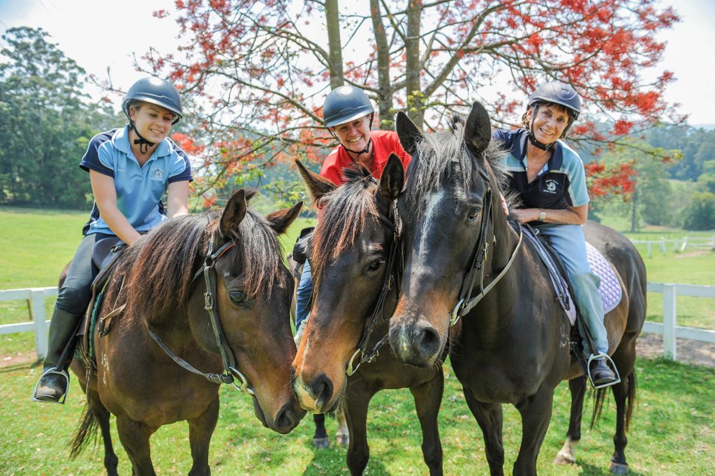 Horse riding experiences of the north coast