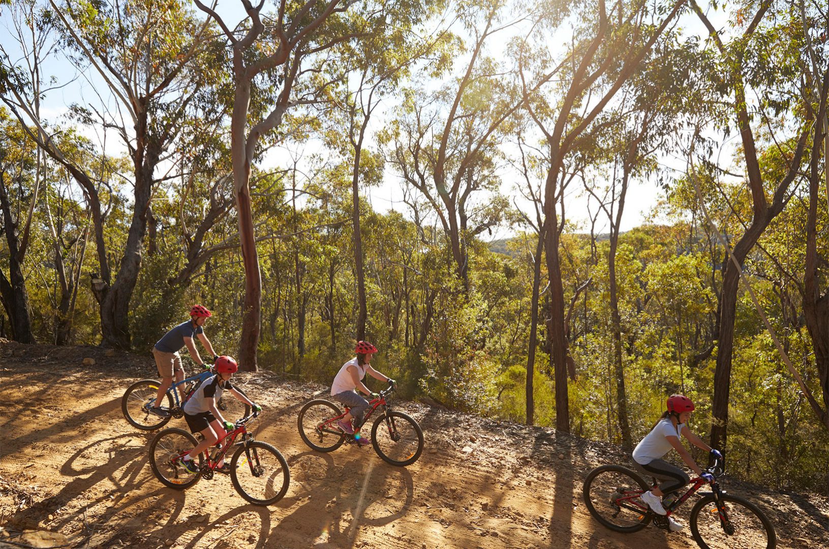 The 8 Best Mountain Bike Trails on the NSW North Coast