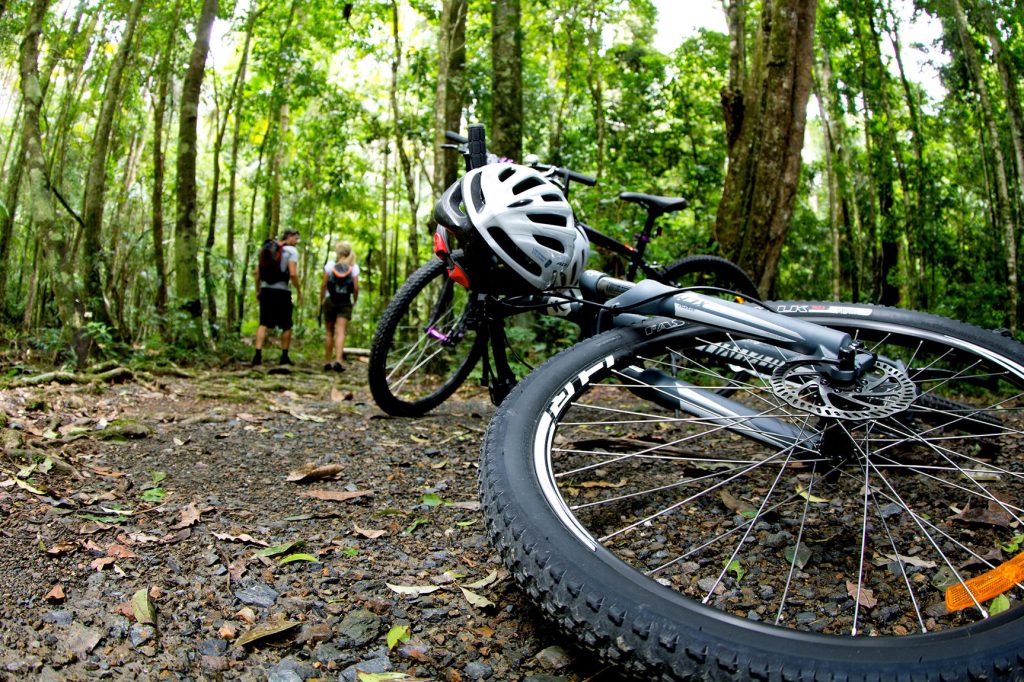 New Italy Mountain Bike Park, Tabbimoble