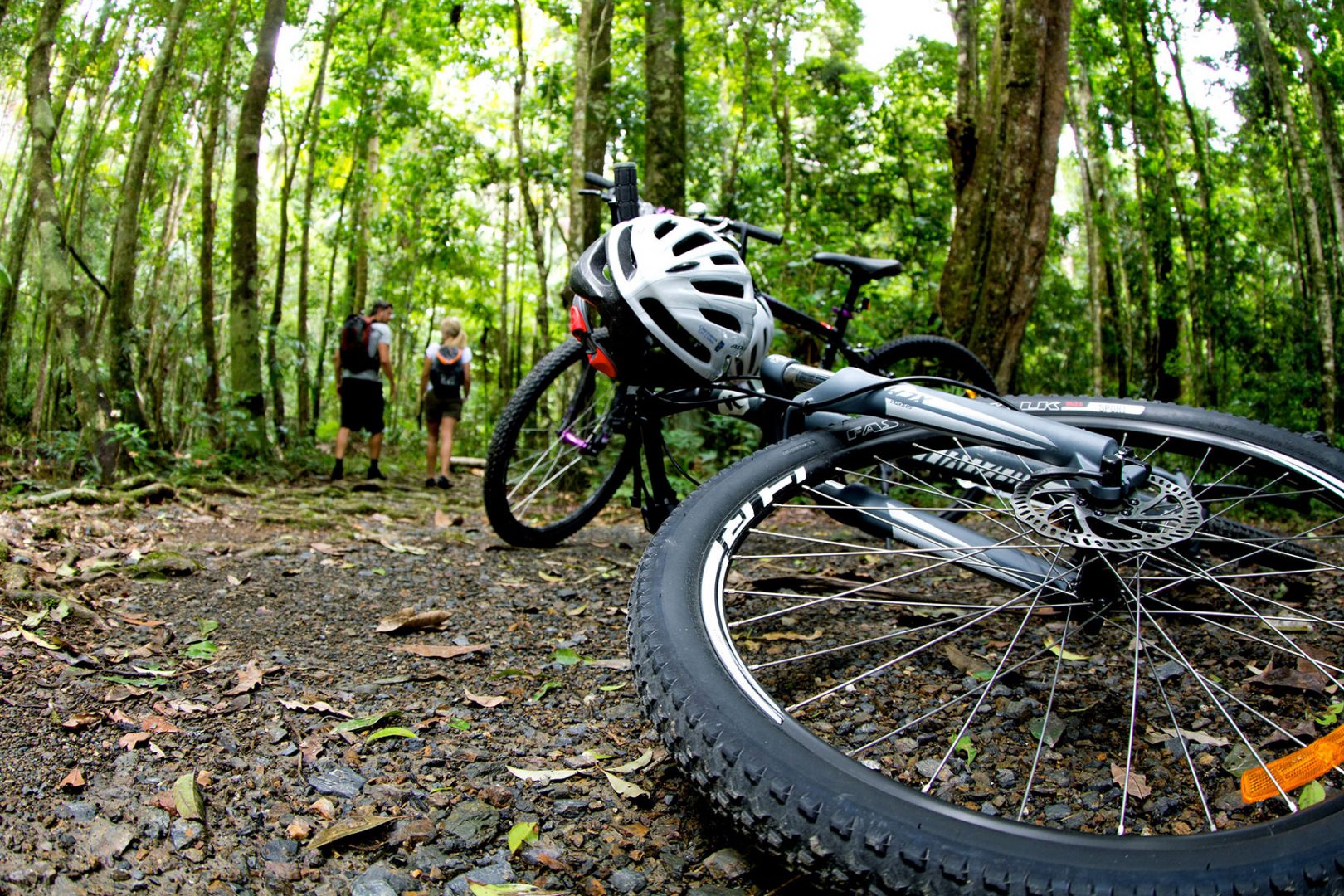 trail bike tours nsw