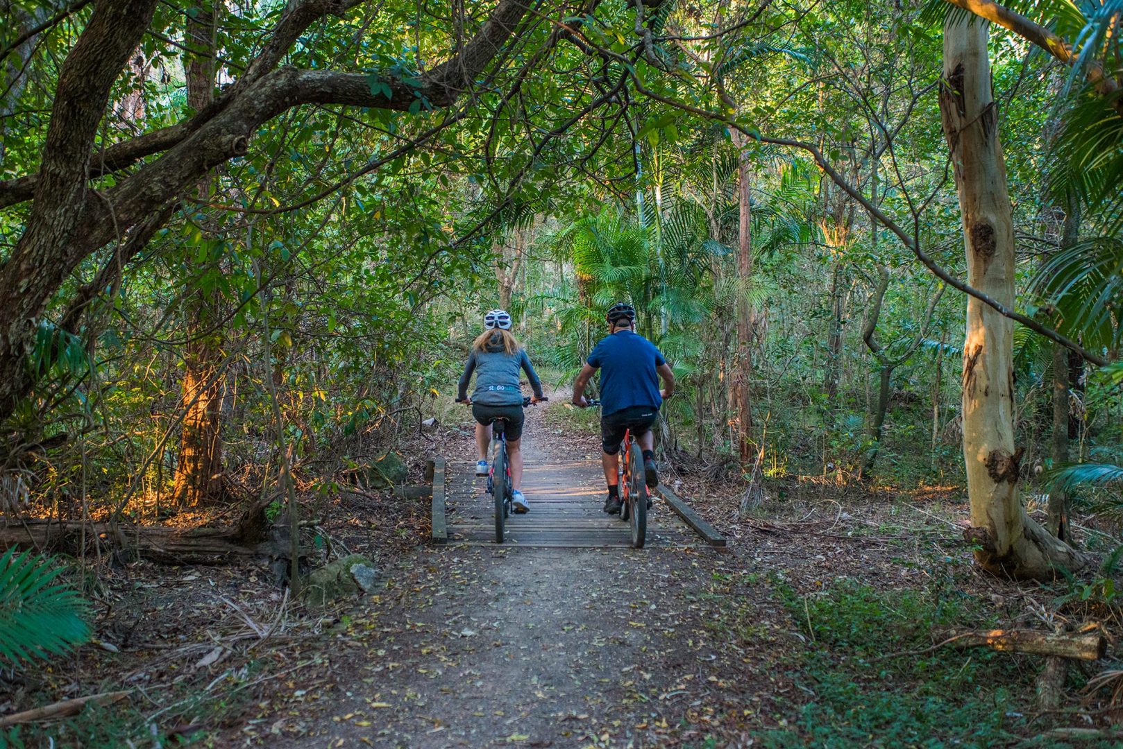 trail bike tours nsw