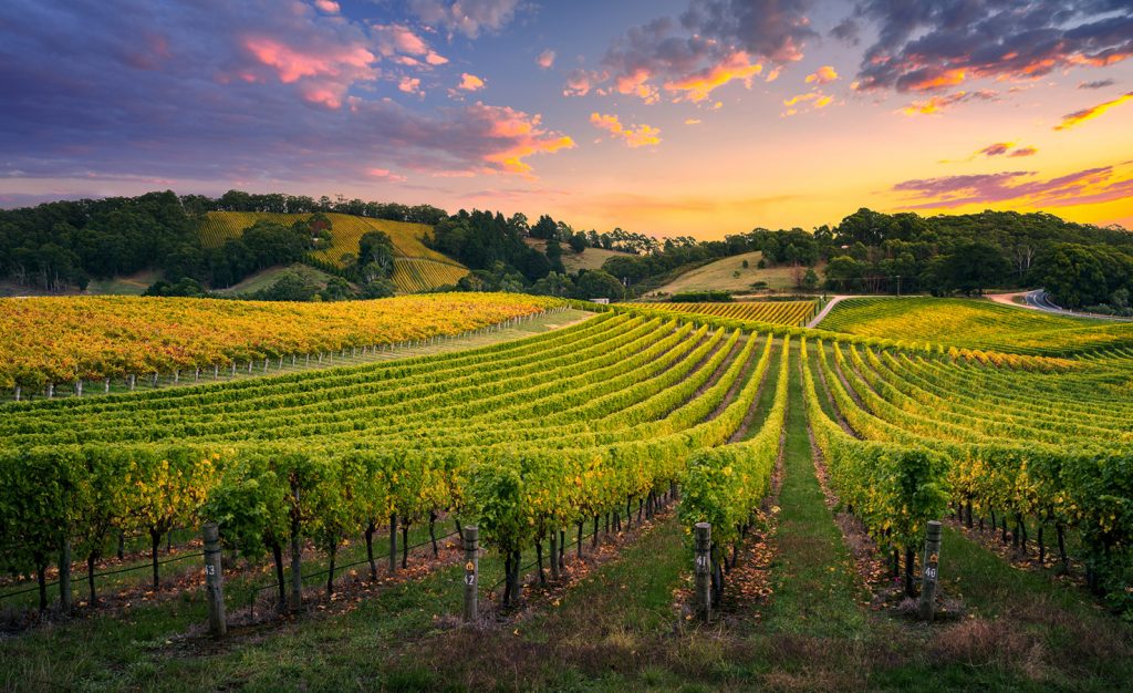 Top 10 Australian Destinations - Adelaide Hills