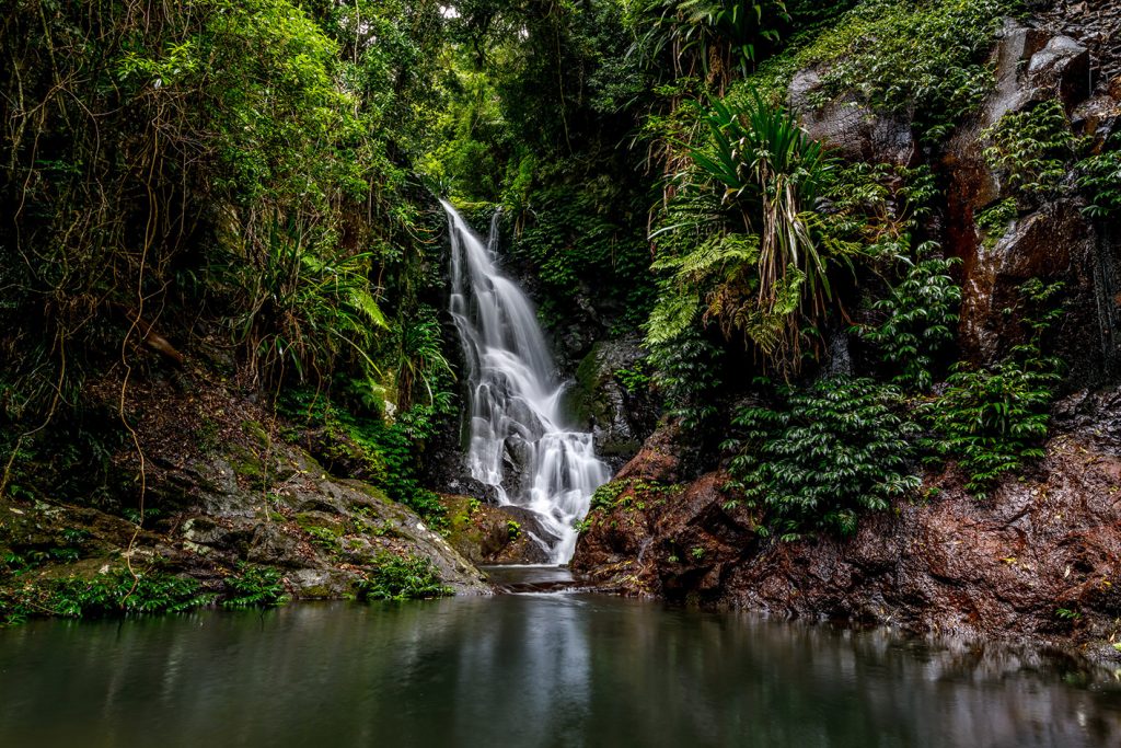 Top 10 Australian Destinations - Lamington National Park