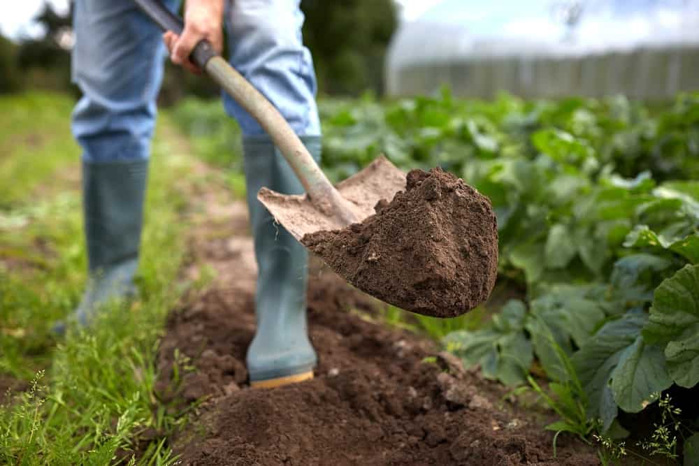 Garden tool maintenance workshop