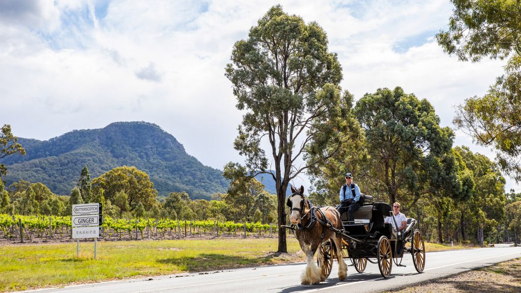 Top 10 Australian Destinations - Hunter Valley