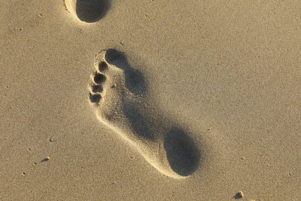 Measure your ecological footprint this Earth Day and make a difference. 
