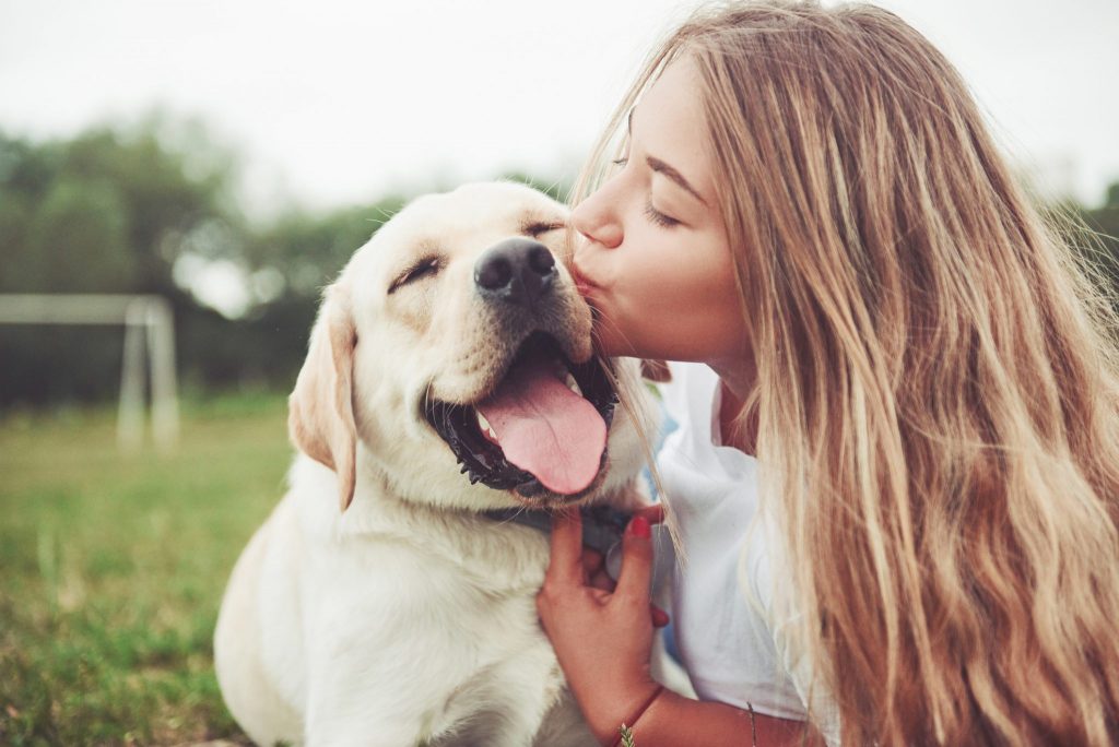 Being calm, loyal and intelligent dogs, Labradors and Golden Retrievers have the personality (and physical traits) that suit the guiding role.