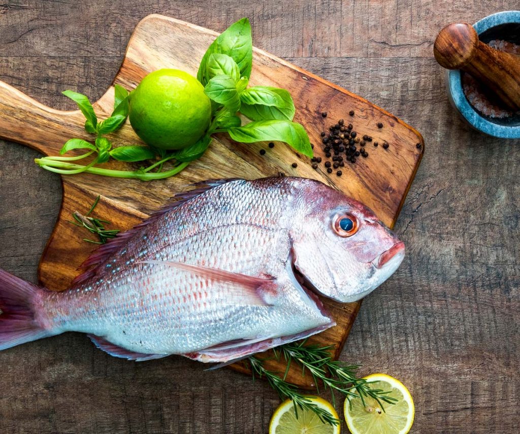 snapper fish from coffs harbour marina