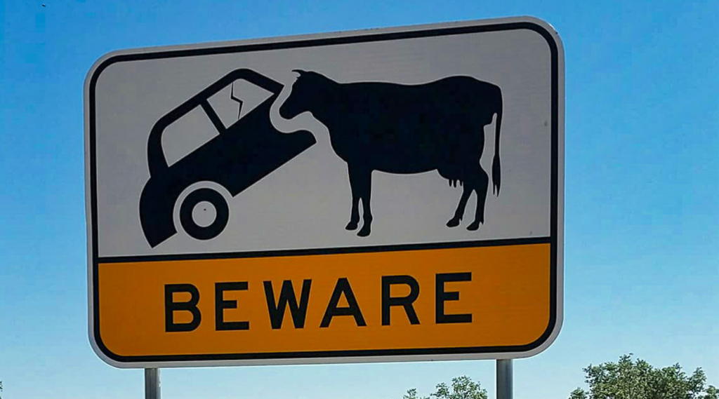 Favourite Australian Road Signs