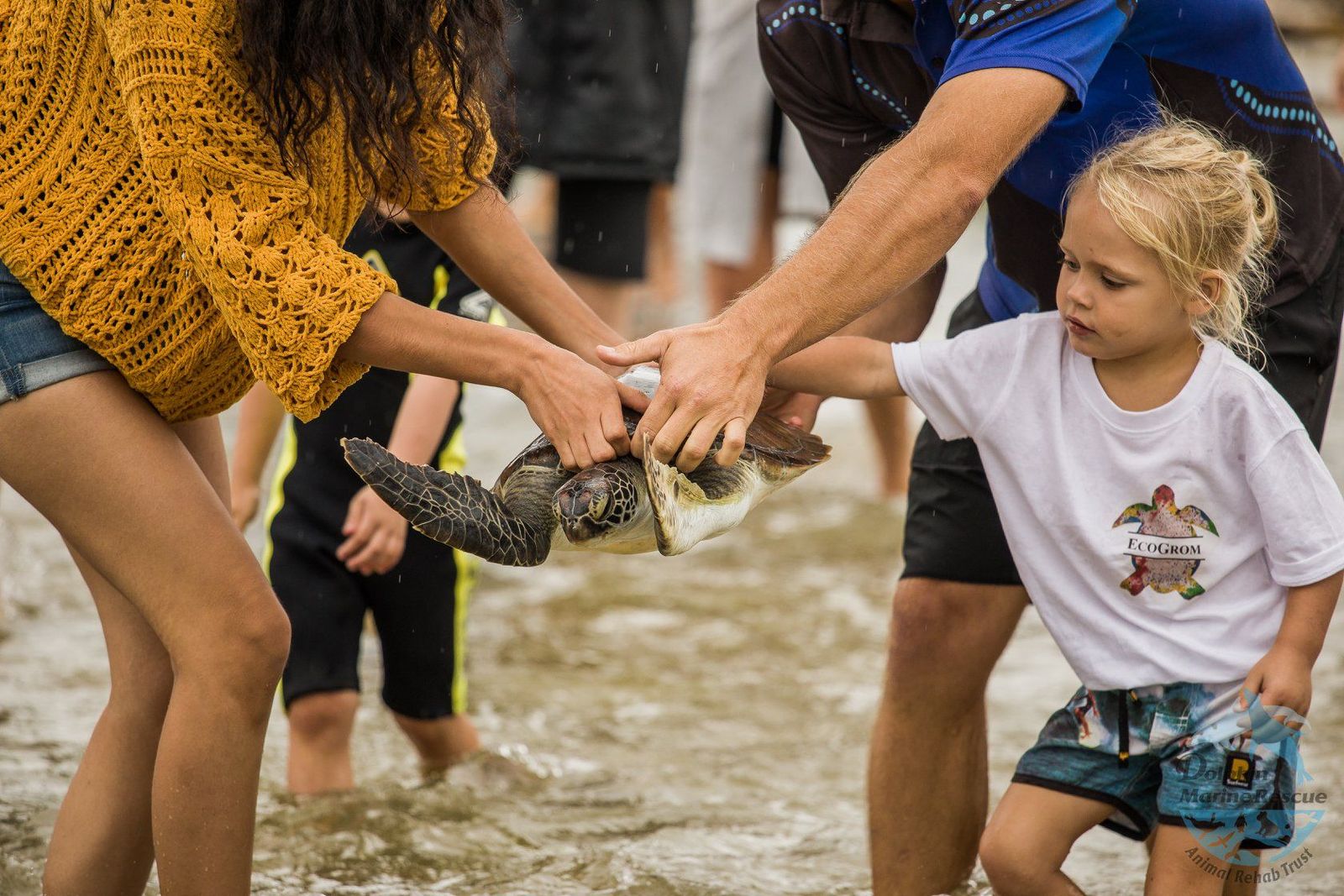 Rescuing Marine Creatures Great and Small