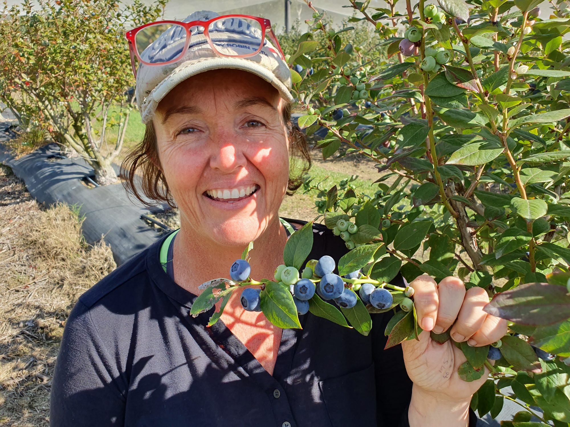 Fruits of Her Labour – Meet a Local Blueberry Farmer