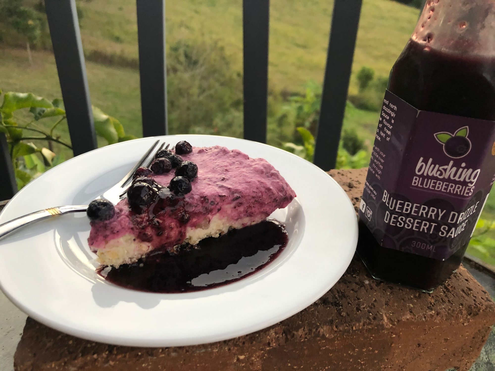 Recipe – Blueberry & Lime Raw Cheesecake