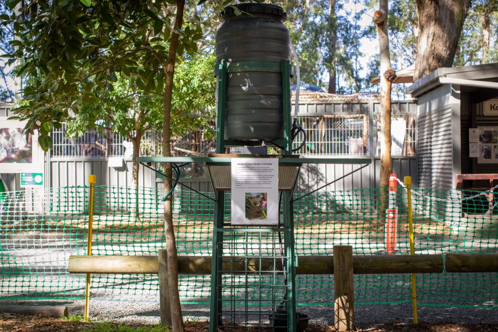 koala watering stations