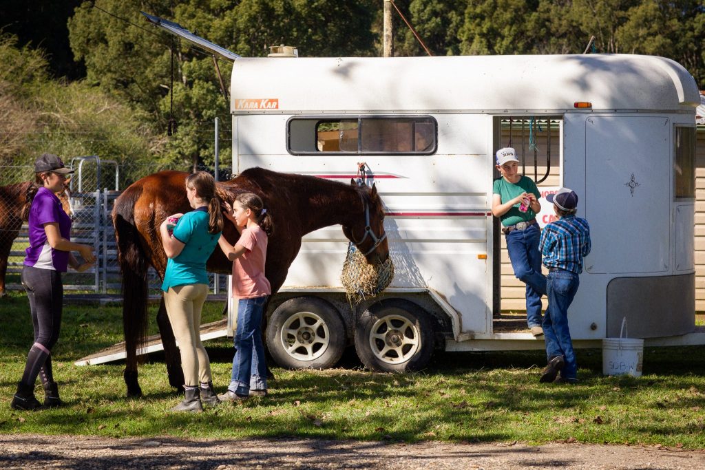 horse care in coffs coast