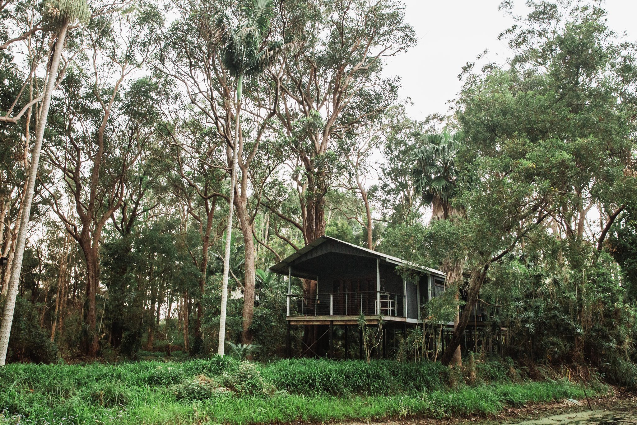Take Me Higher: Treetop Accommodation on the North Coast