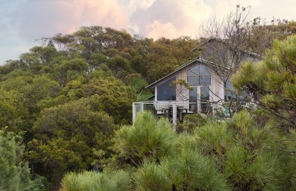 Byron Oasis Treetop Holiday Houses at Byron Bay on the NSW North Coast 