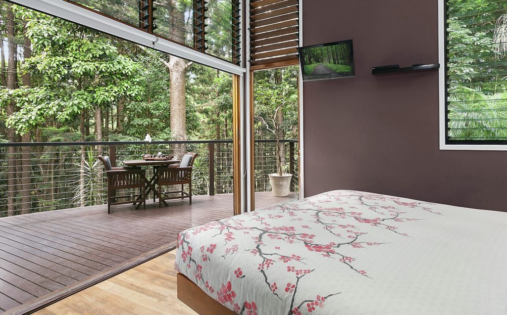 The treetop view from a room at Azabu Byron Bay on the NSW North Coast 