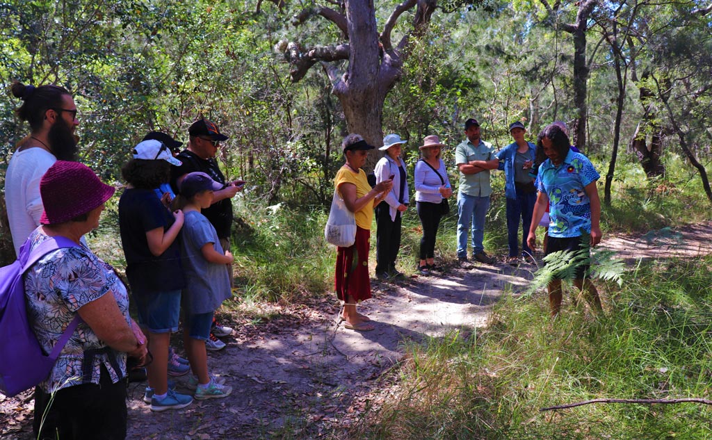 Flavours of the Bush – Corindi Beach