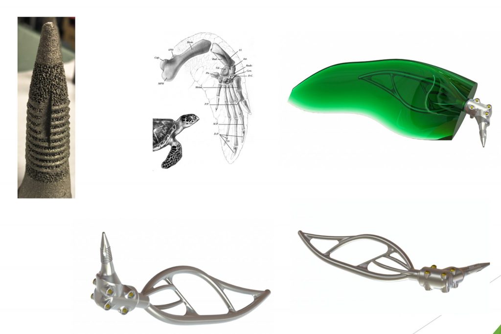 Nick van der Geest Turtle Prosthetic Flipper design  1