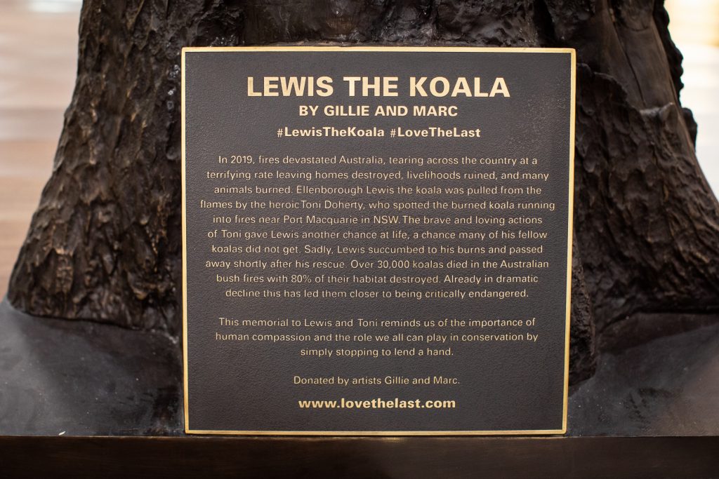 Sculpture of Lewis the Koala at Port Central