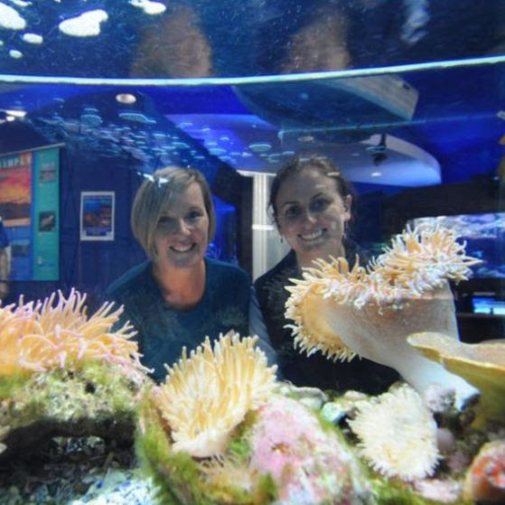Solitary Islands Aquarium