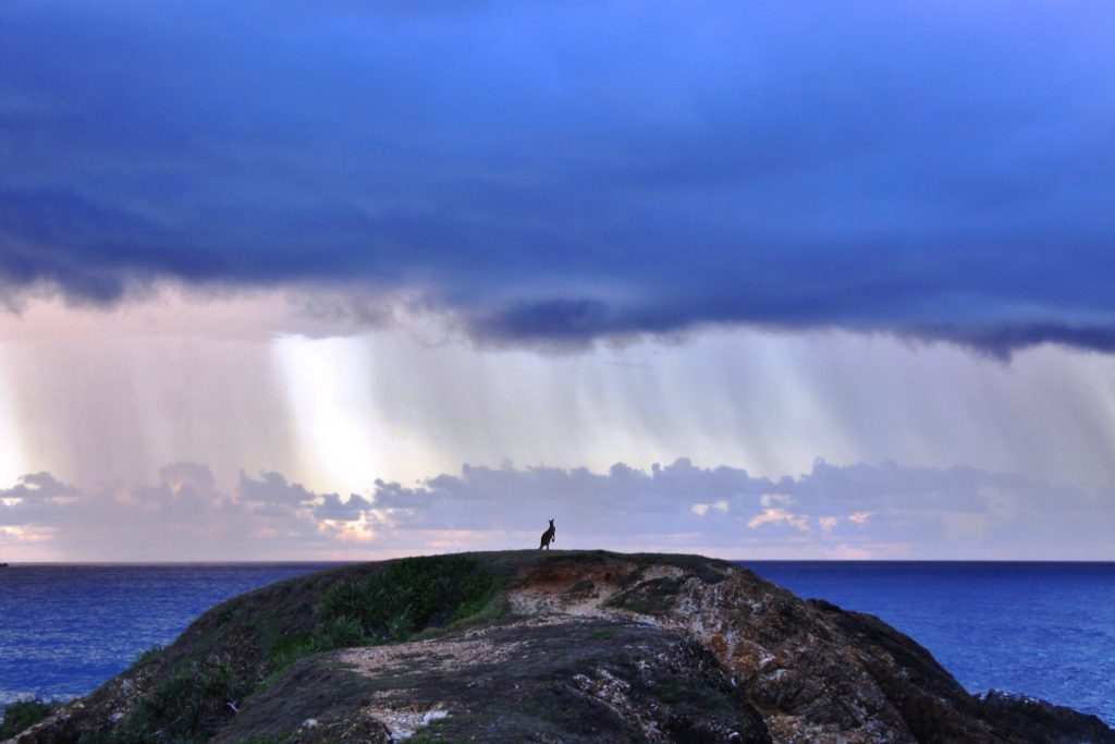 The Best Picnic Spots on the Mid North Coast