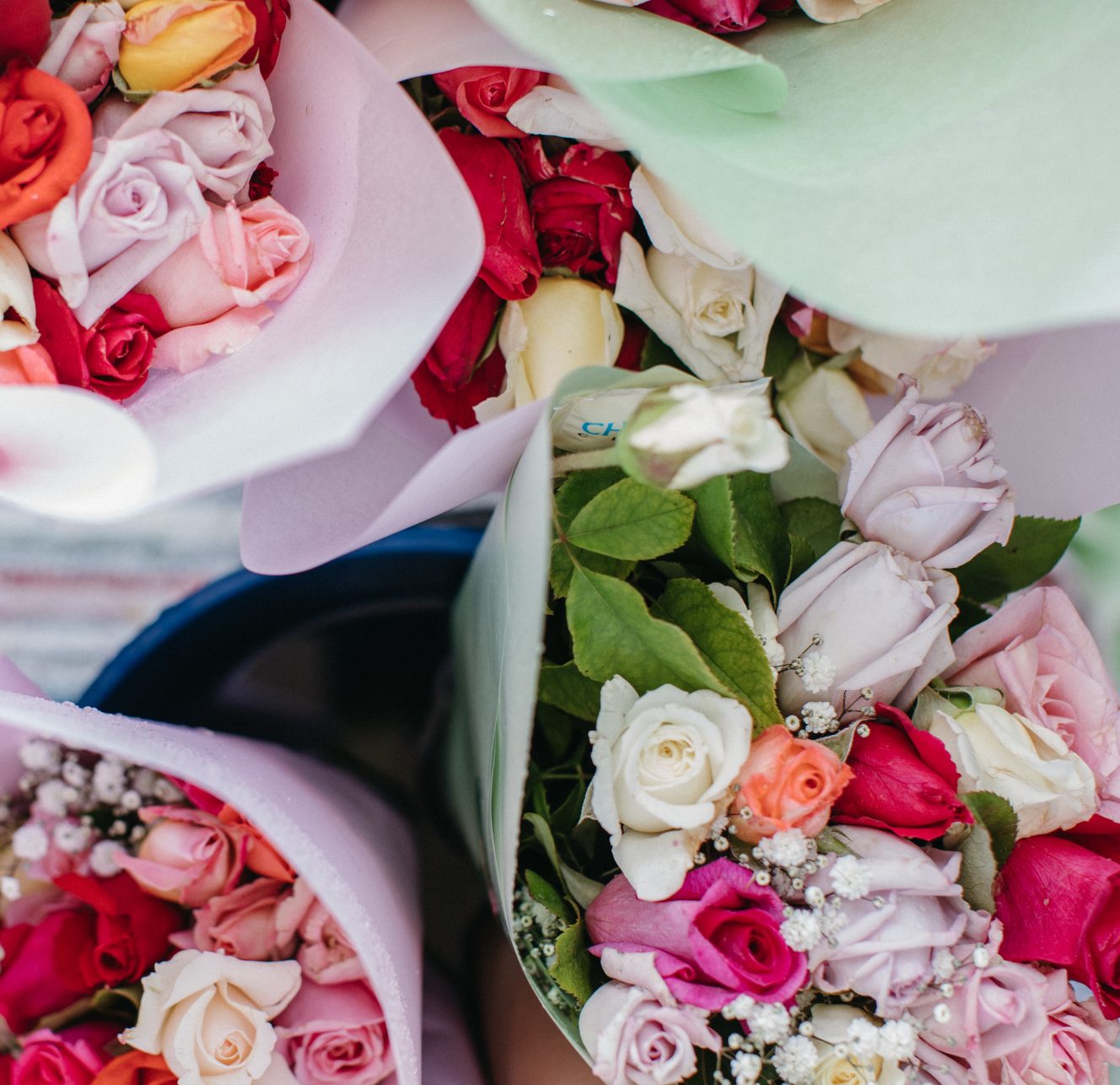 Free Valentine’s Rose