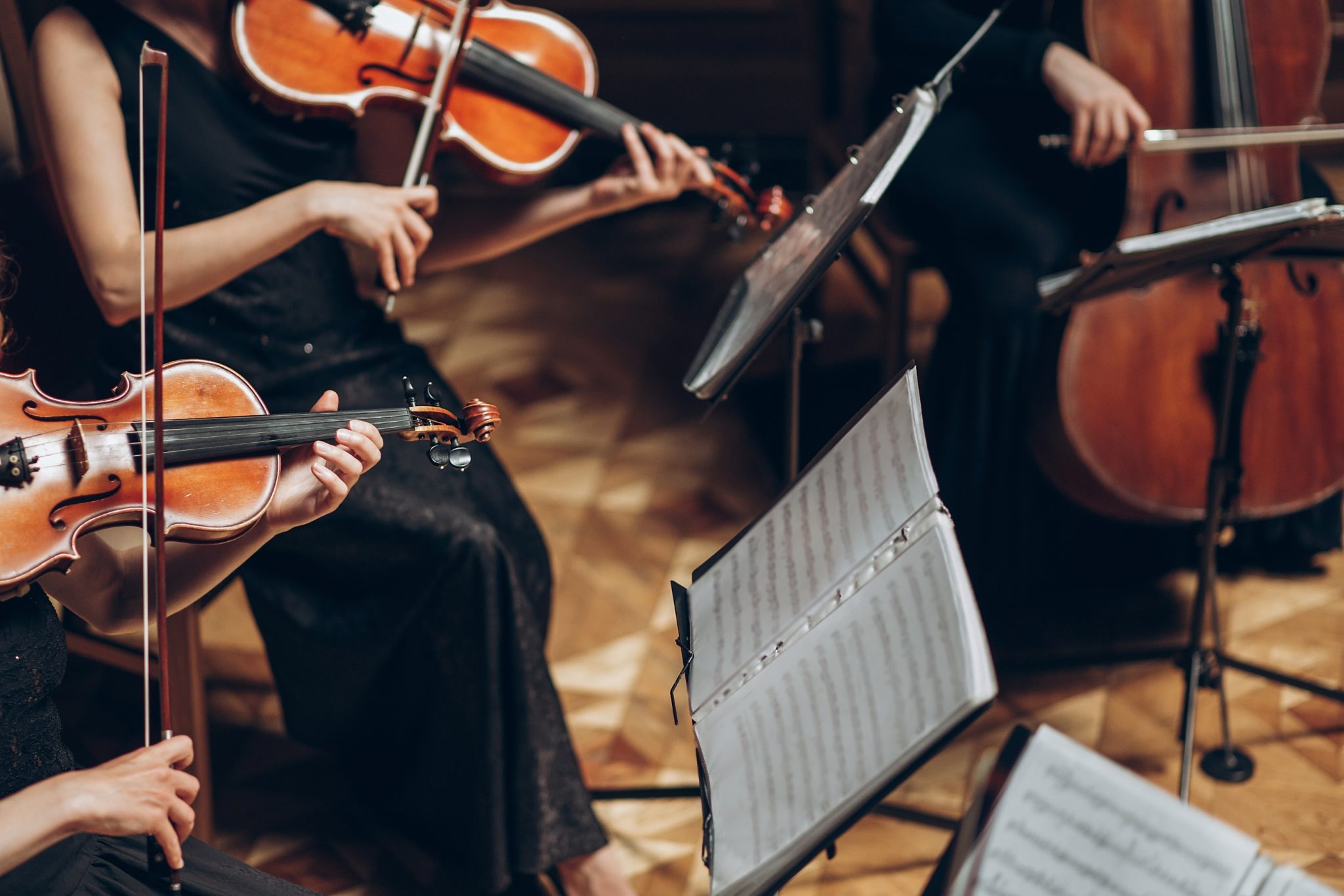 Sunday Series Concert 1