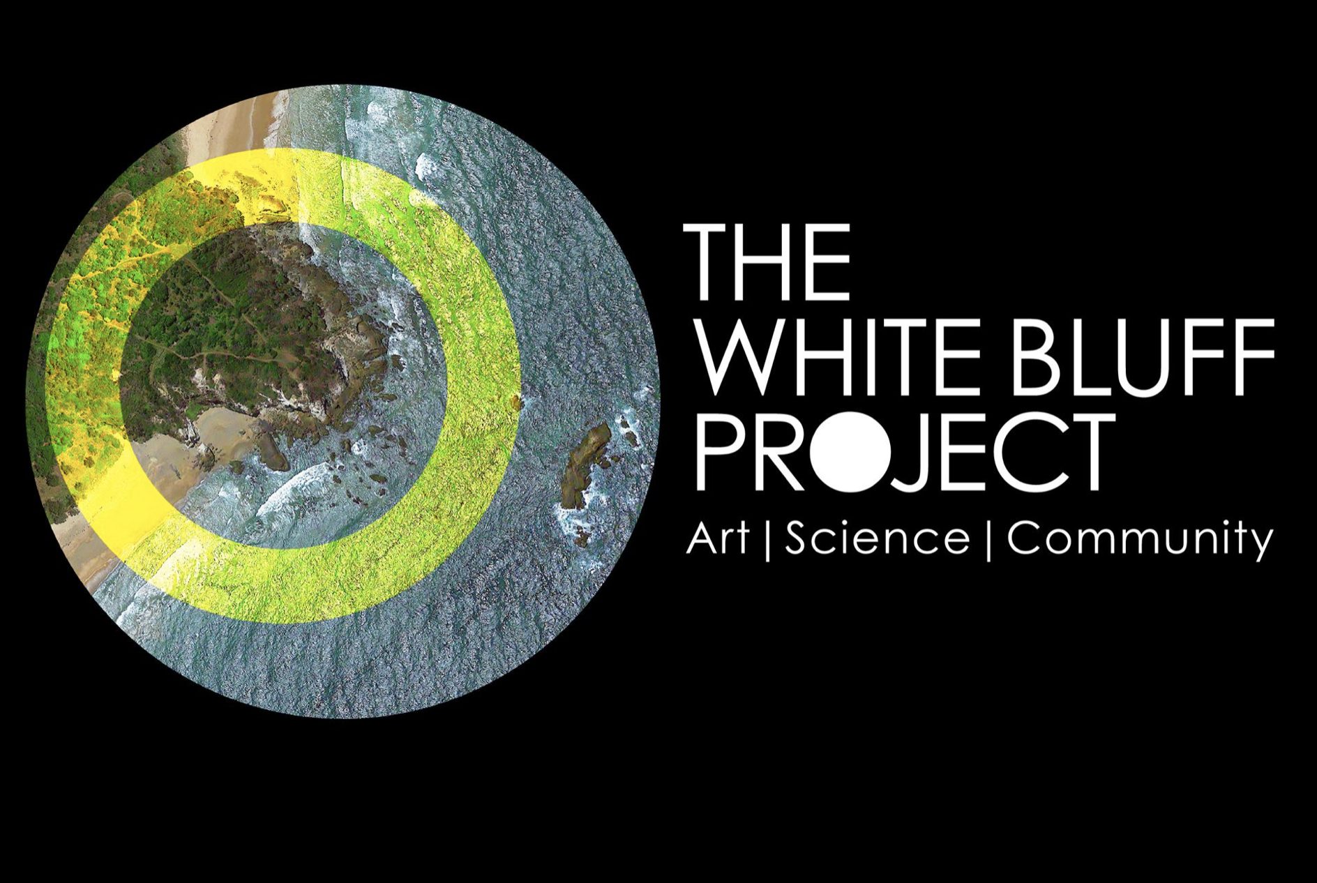The White Bluff Project Exhibition