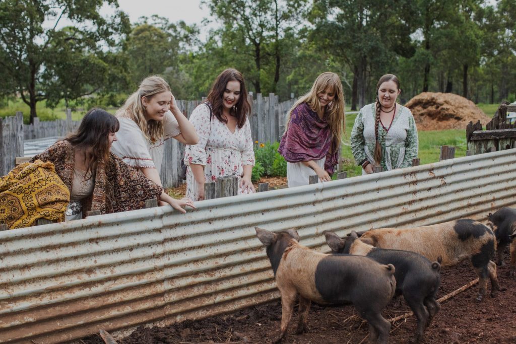 Five young women looking at small brown pigs 