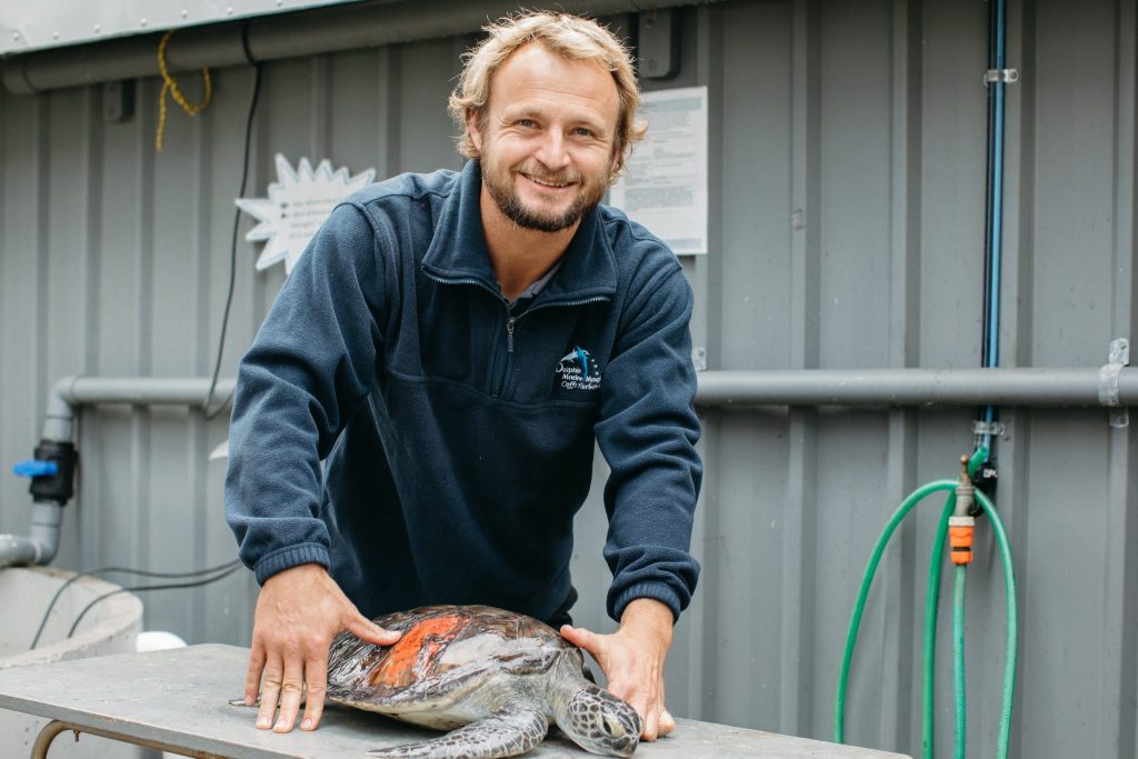 A man smiles at the camera while treating a sea turtle on a table 