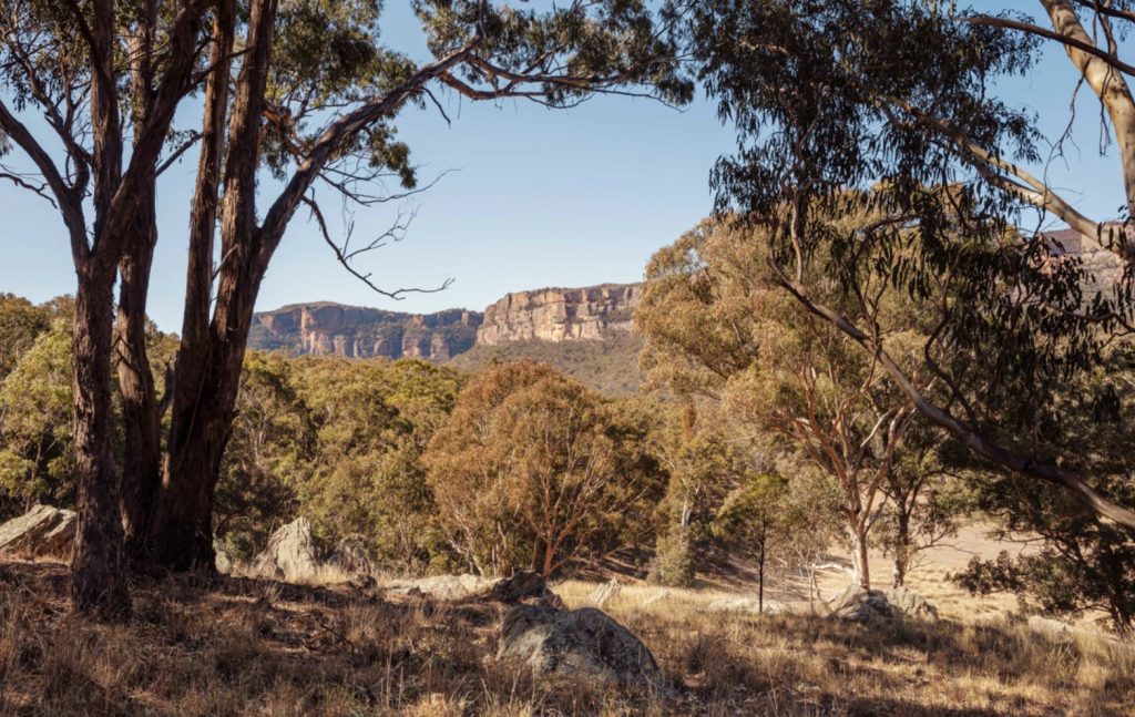 Landscape shots of the Blou Mountains and bushland